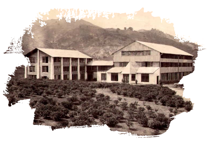 Jhon's Ceylon Tea Co