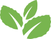 Jhon's Ceylon Tea Co